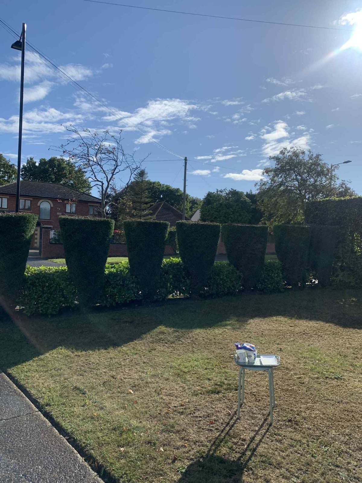 Hedge cutting by Roebuck Gardening and Property Services