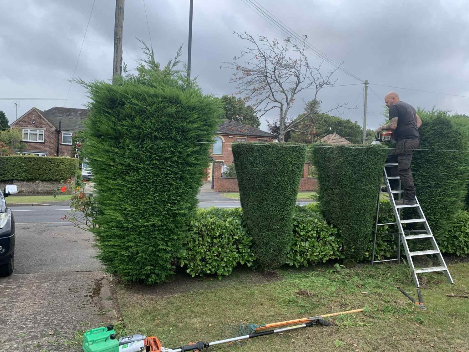 Hedge cutting by Roebuck Gardening and Property Services
