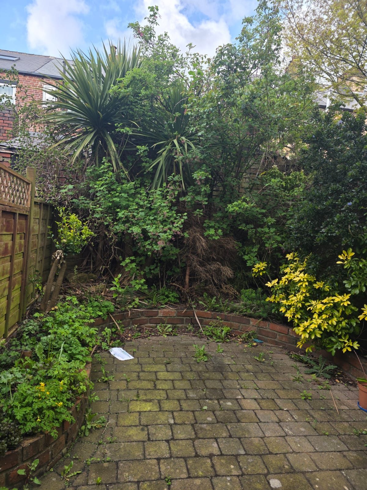Garden before Roebuck landscaping work